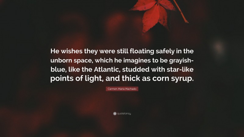 Carmen Maria Machado Quote: “He wishes they were still floating safely in the unborn space, which he imagines to be grayish-blue, like the Atlantic, studded with star-like points of light, and thick as corn syrup.”