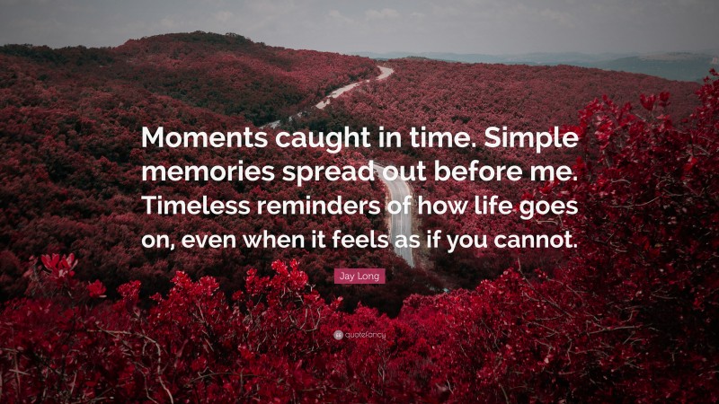 Jay Long Quote: “Moments caught in time. Simple memories spread out before me. Timeless reminders of how life goes on, even when it feels as if you cannot.”