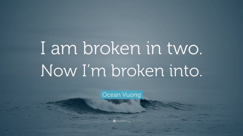 Ocean Vuong Quote: “I am broken in two. Now I’m broken into.”