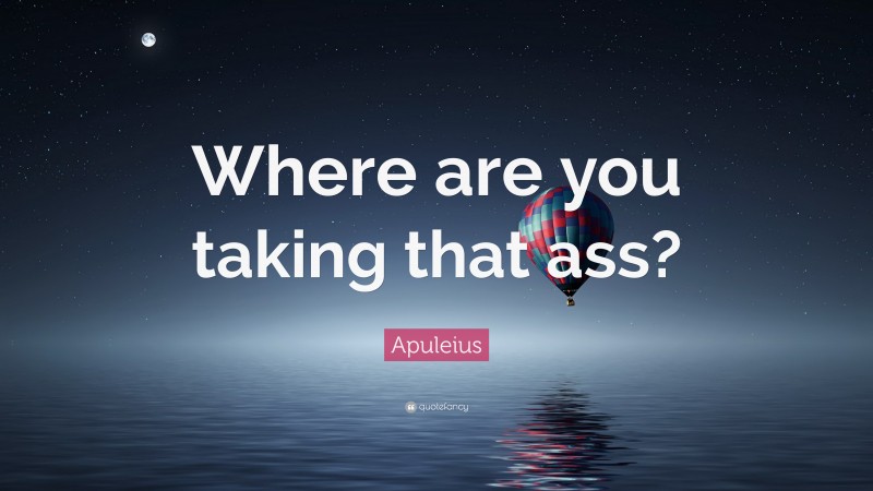 Apuleius Quote: “Where are you taking that ass?”