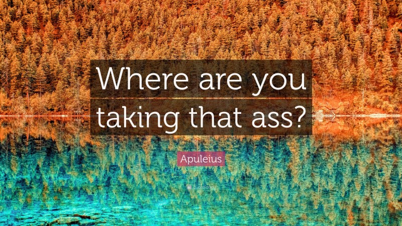 Apuleius Quote: “Where are you taking that ass?”