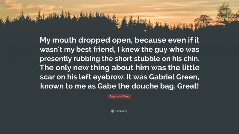 Stephanie Witter Quote: “My mouth dropped open, because even if it wasn’t my best friend, I knew the guy who was presently rubbing the short stubble on his chin. The only new thing about him was the little scar on his left eyebrow. It was Gabriel Green, known to me as Gabe the douche bag. Great!”