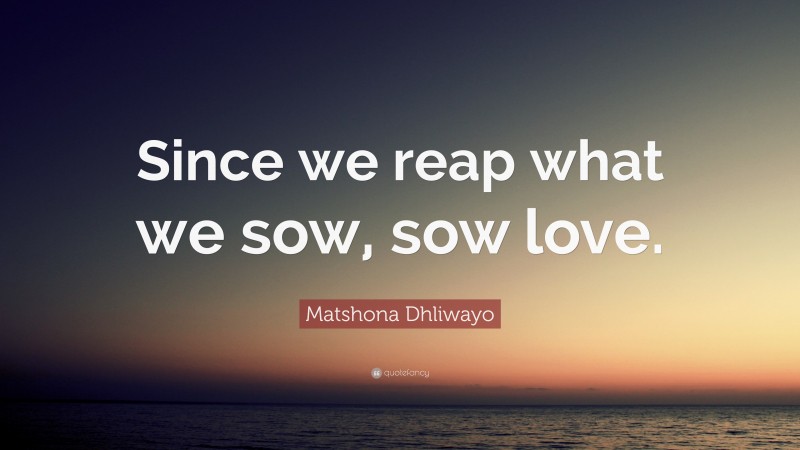 Matshona Dhliwayo Quote: “Since we reap what we sow, sow love.”