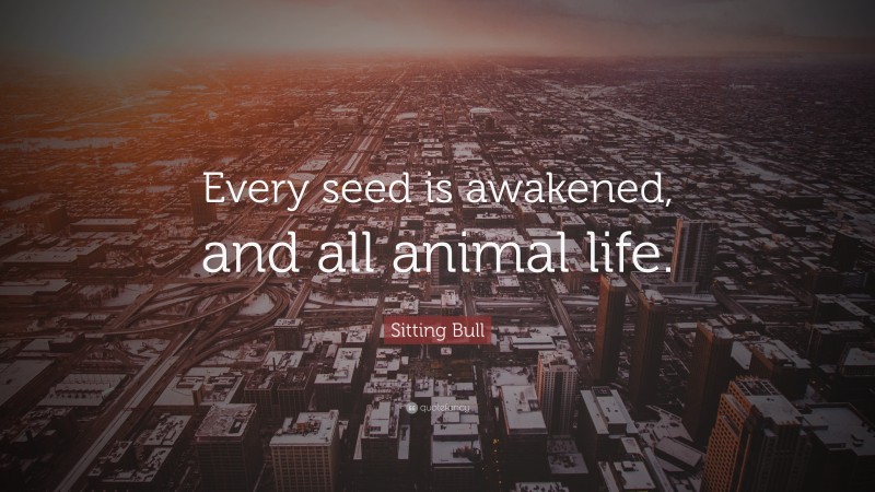 Sitting Bull Quote: “Every seed is awakened, and all animal life.”