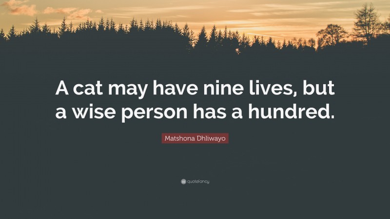 Matshona Dhliwayo Quote: “A cat may have nine lives, but a wise person has a hundred.”