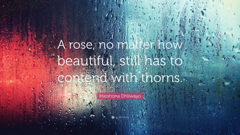 Matshona Dhliwayo Quote: “A rose, no matter how beautiful, still has to contend with thorns.”