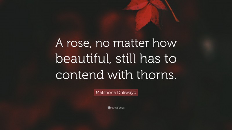 Matshona Dhliwayo Quote: “A rose, no matter how beautiful, still has to contend with thorns.”