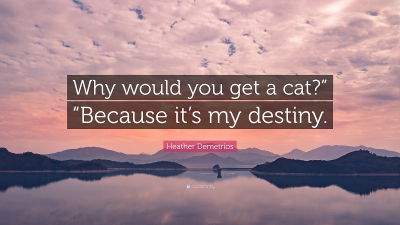 Heather Demetrios Quote: “Why would you get a cat?” “Because it’s my destiny.”