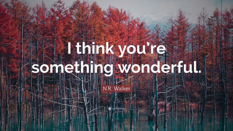 N.R. Walker Quote: “I think you’re something wonderful.”