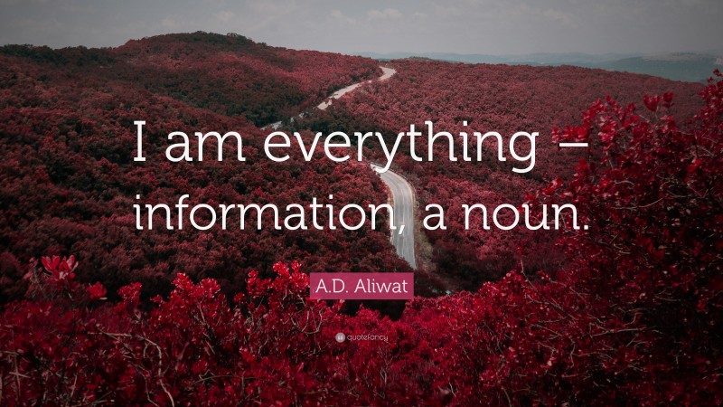A.D. Aliwat Quote: “I am everything – information, a noun.”