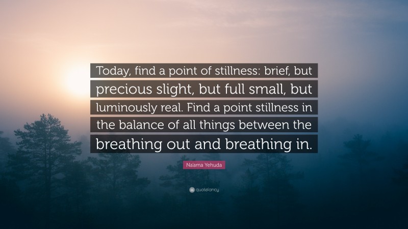 Na'ama Yehuda Quote: “Today, find a point of stillness: brief, but precious slight, but full small, but luminously real. Find a point stillness in the balance of all things between the breathing out and breathing in.”