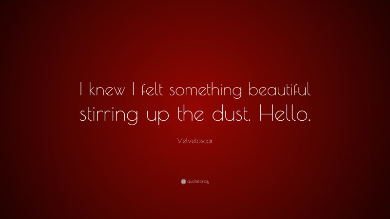 Velvetoscar Quote: “I knew I felt something beautiful stirring up the dust. Hello.”