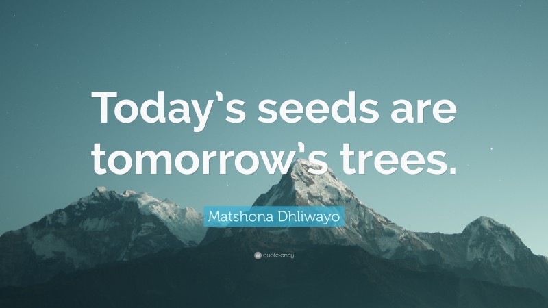 Matshona Dhliwayo Quote: “Today’s seeds are tomorrow’s trees.”