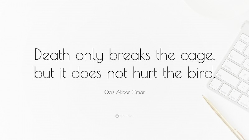 Qais Akbar Omar Quote: “Death only breaks the cage, but it does not hurt the bird.”