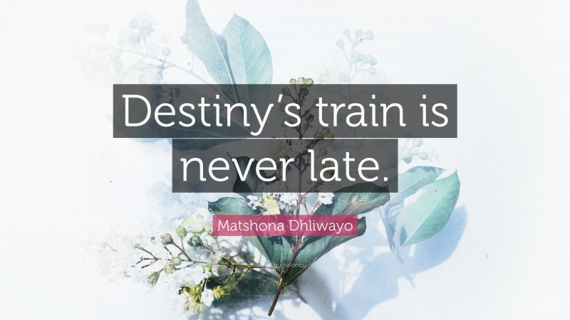 Matshona Dhliwayo Quote: “Destiny’s train is never late.”