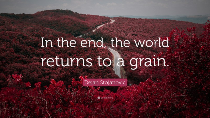 Dejan Stojanovic Quote: “In the end, the world returns to a grain.”