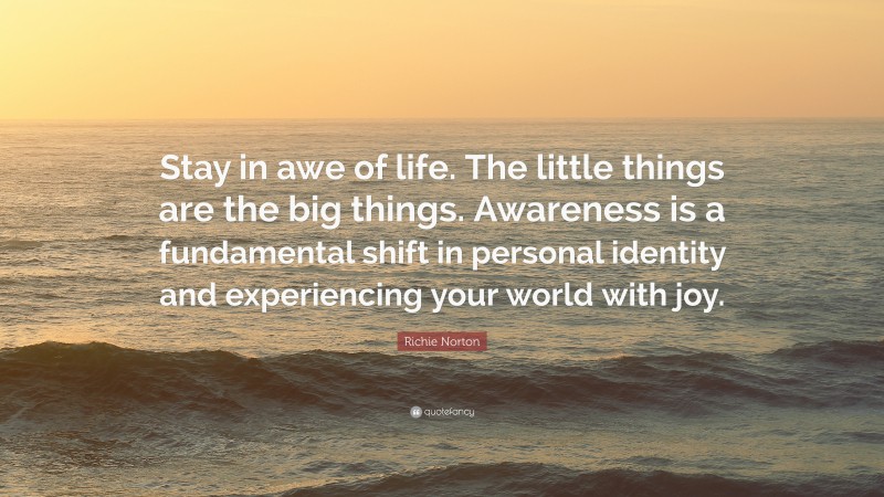 Richie Norton Quote: “Stay in awe of life. The little things are the big things. Awareness is a fundamental shift in personal identity and experiencing your world with joy.”