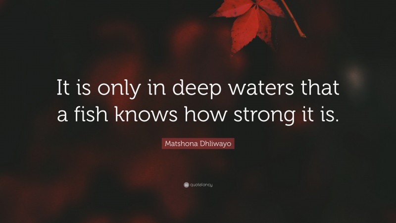 Matshona Dhliwayo Quote: “It is only in deep waters that a fish knows how strong it is.”