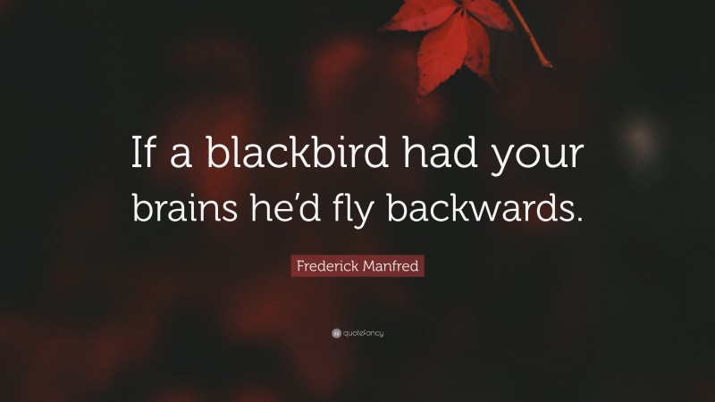Frederick Manfred Quote: “If a blackbird had your brains he’d fly backwards.”