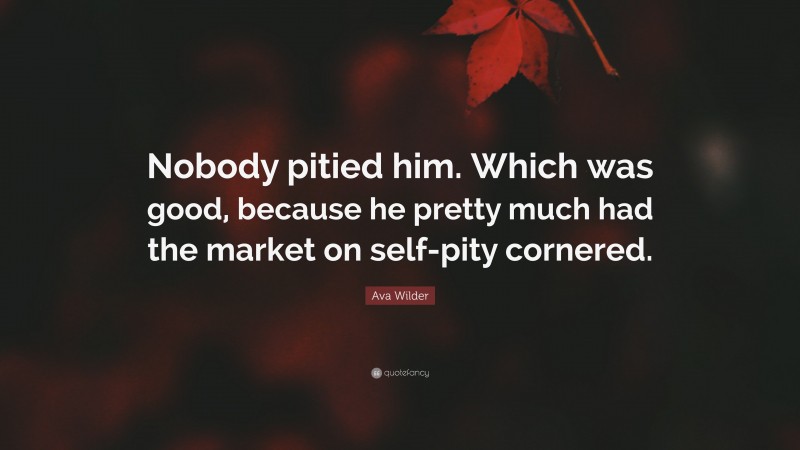 Ava Wilder Quote: “Nobody pitied him. Which was good, because he pretty much had the market on self-pity cornered.”