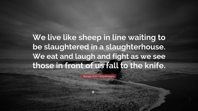 Bangambiki Habyarimana Quote: “We live like sheep in line waiting to be slaughtered in a slaughterhouse. We eat and laugh and fight as we see those in front of us fall to the knife.”