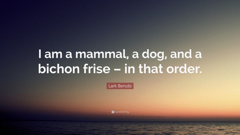 Lark Benobi Quote: “I am a mammal, a dog, and a bichon frise – in that order.”