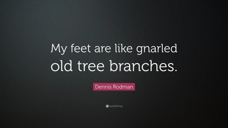 Dennis Rodman Quote: “My feet are like gnarled old tree branches.”