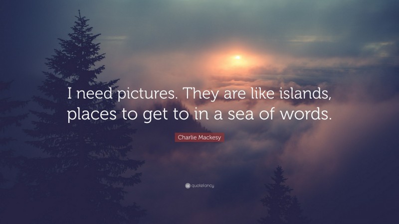 Charlie Mackesy Quote: “I need pictures. They are like islands, places to get to in a sea of words.”