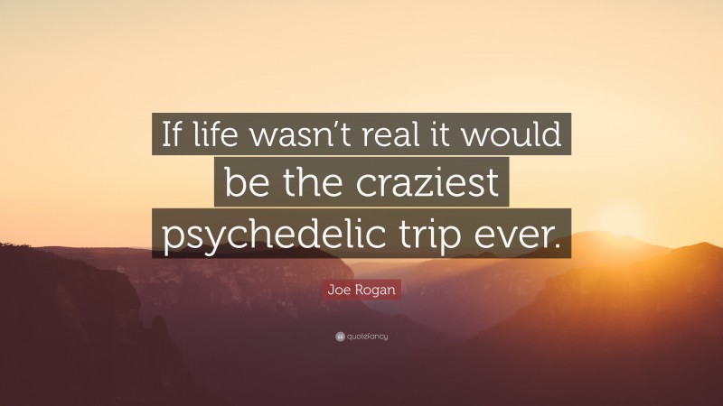Joe Rogan Quote: “If life wasn’t real it would be the craziest psychedelic trip ever.”