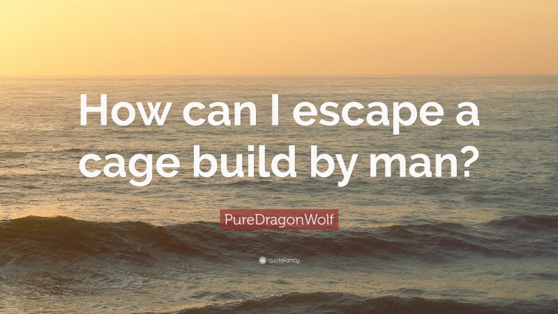 PureDragonWolf Quote: “How can I escape a cage build by man?”