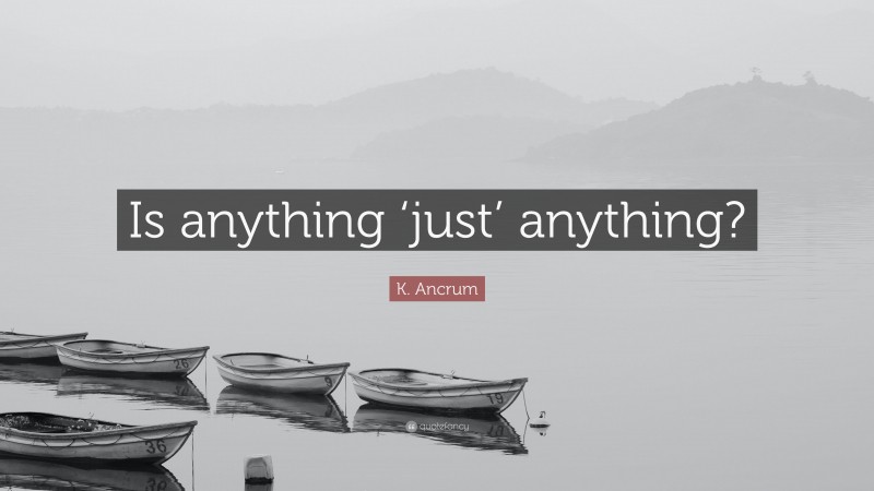 K. Ancrum Quote: “Is anything ‘just’ anything?”