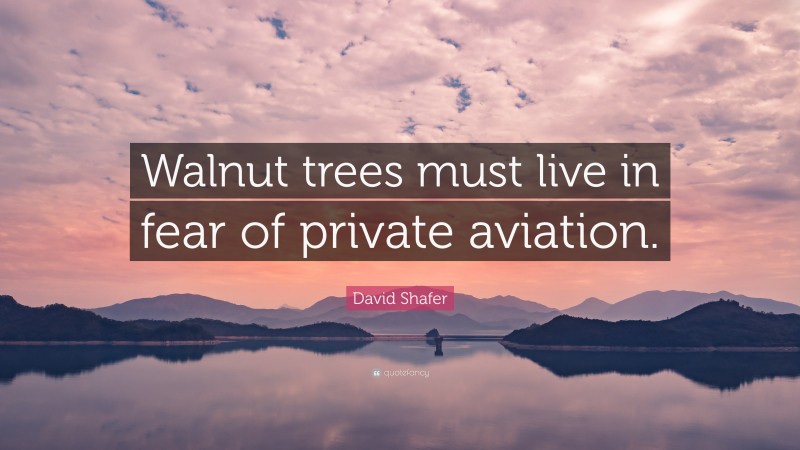 David Shafer Quote: “Walnut trees must live in fear of private aviation.”