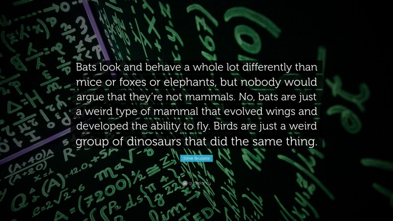 Steve Brusatte Quote: “Bats look and behave a whole lot differently than mice or foxes or elephants, but nobody would argue that they’re not mammals. No, bats are just a weird type of mammal that evolved wings and developed the ability to fly. Birds are just a weird group of dinosaurs that did the same thing.”