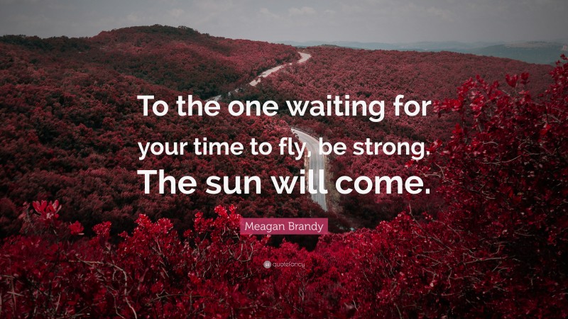 Meagan Brandy Quote: “To the one waiting for your time to fly, be strong. The sun will come.”