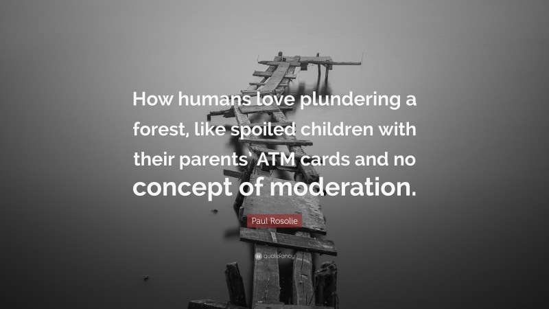 Paul Rosolie Quote: “How humans love plundering a forest, like spoiled children with their parents’ ATM cards and no concept of moderation.”