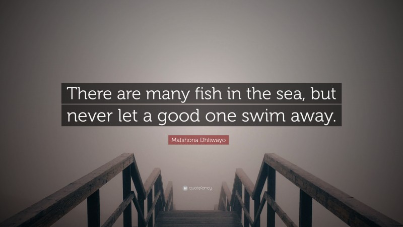 Matshona Dhliwayo Quote: “There are many fish in the sea, but never let a good one swim away.”