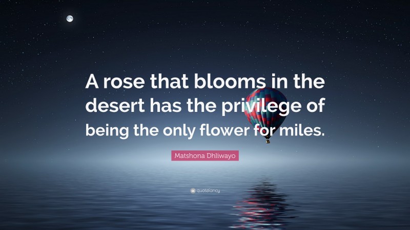 Matshona Dhliwayo Quote: “A rose that blooms in the desert has the privilege of being the only flower for miles.”