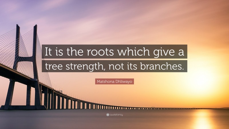Matshona Dhliwayo Quote: “It is the roots which give a tree strength, not its branches.”
