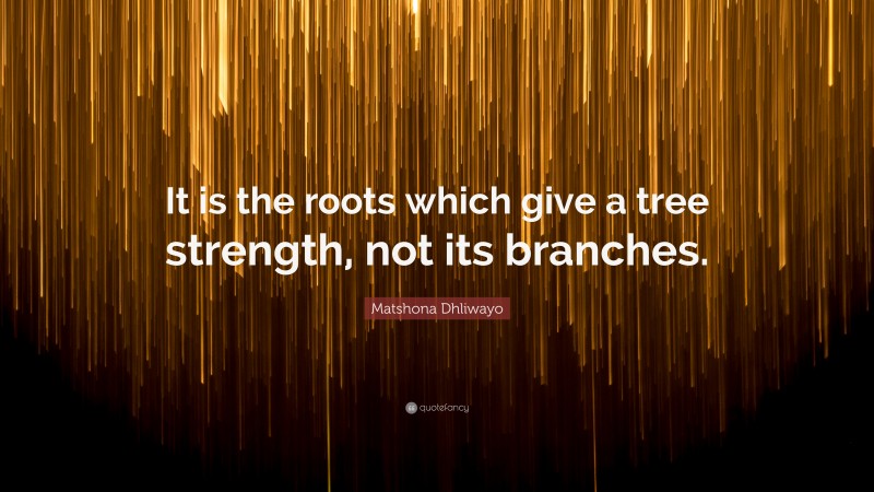 Matshona Dhliwayo Quote: “It is the roots which give a tree strength, not its branches.”