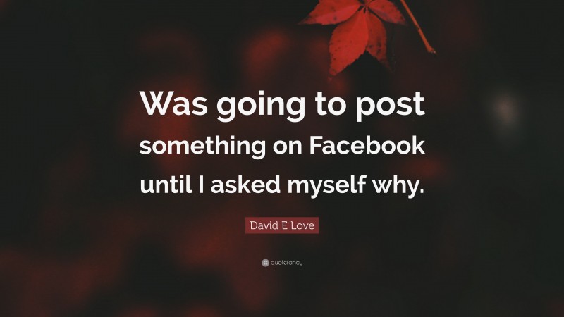 David E Love Quote: “Was going to post something on Facebook until I asked myself why.”