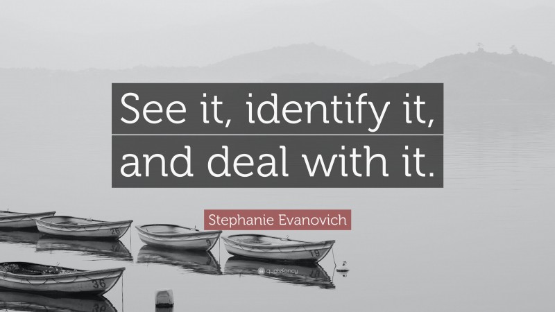 Stephanie Evanovich Quote: “See it, identify it, and deal with it.”