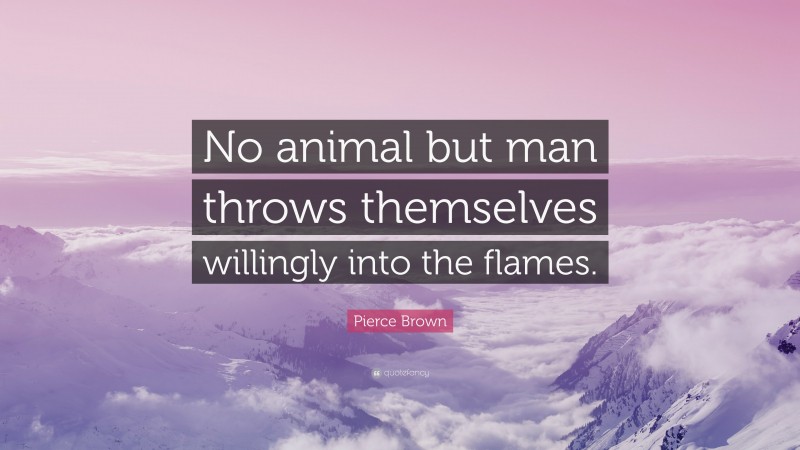 Pierce Brown Quote: “No animal but man throws themselves willingly into the flames.”