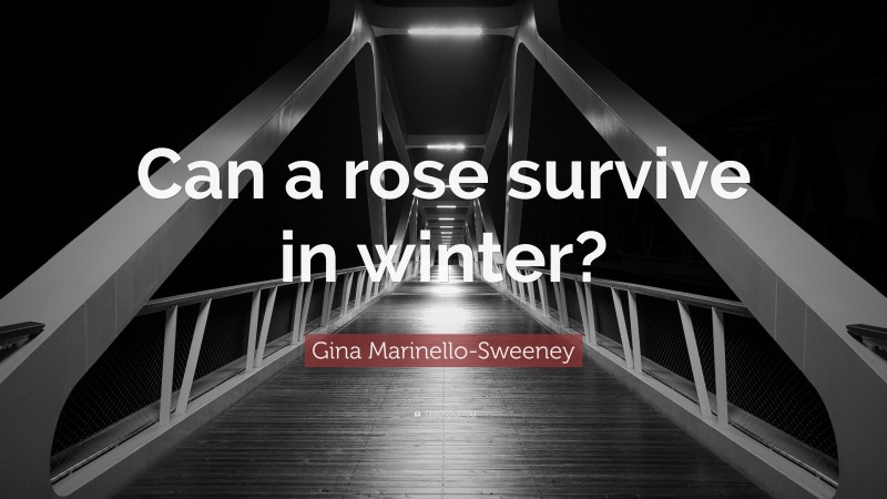 Gina Marinello-Sweeney Quote: “Can a rose survive in winter?”
