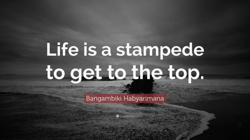 Bangambiki Habyarimana Quote: “Life is a stampede to get to the top.”