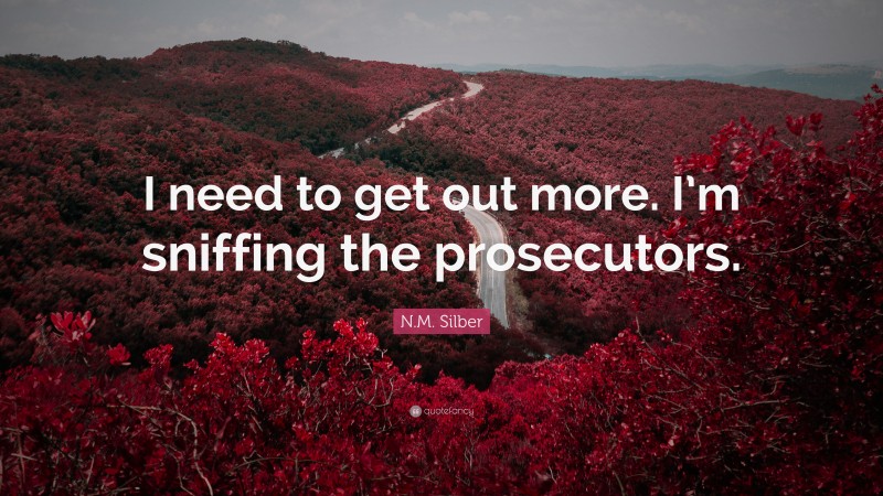 N.M. Silber Quote: “I need to get out more. I’m sniffing the prosecutors.”