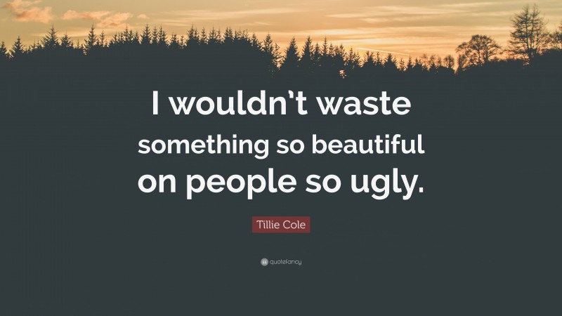 Tillie Cole Quote: “I wouldn’t waste something so beautiful on people so ugly.”