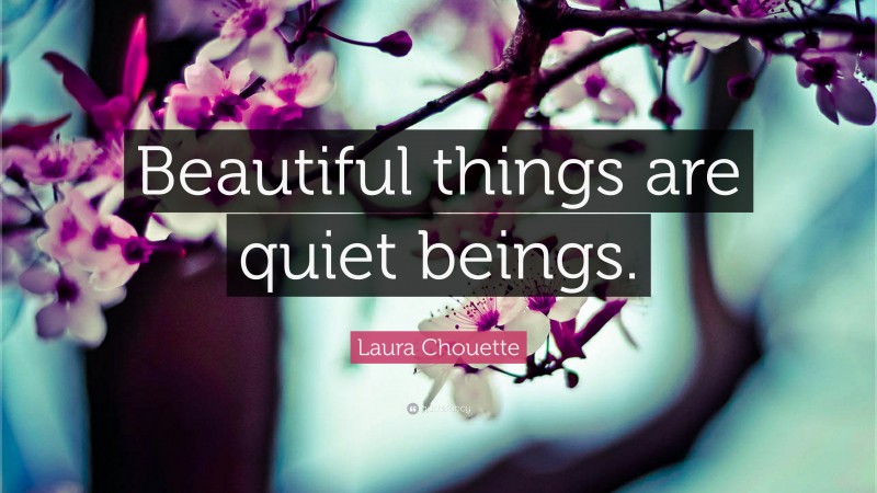 Laura Chouette Quote: “Beautiful things are quiet beings.”