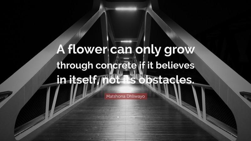 Matshona Dhliwayo Quote: “A flower can only grow through concrete if it believes in itself, not its obstacles.”