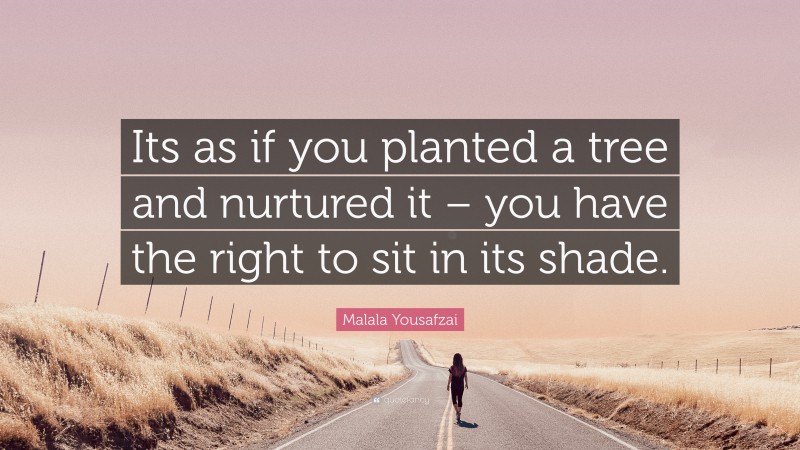 Malala Yousafzai Quote: “Its as if you planted a tree and nurtured it – you have the right to sit in its shade.”