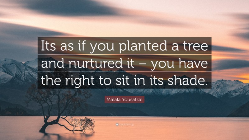 Malala Yousafzai Quote: “Its as if you planted a tree and nurtured it – you have the right to sit in its shade.”
